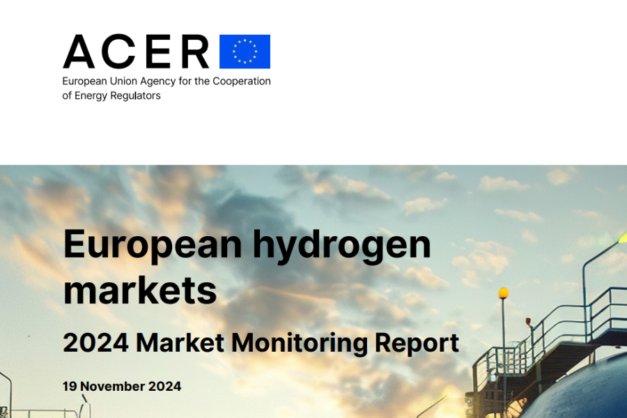 Agentura EU pro spolupráci energetických regulačních orgánů (ACER) vydala report o trhu s vodíkem pro rok 2024  