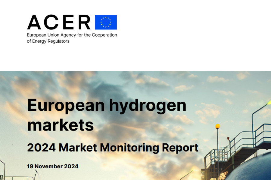 Agentura EU pro spolupráci energetických regulačních orgánů (ACER) vydala report o trhu s vodíkem pro rok 2024